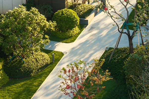 Soft Landscaping and Hardscaping Services